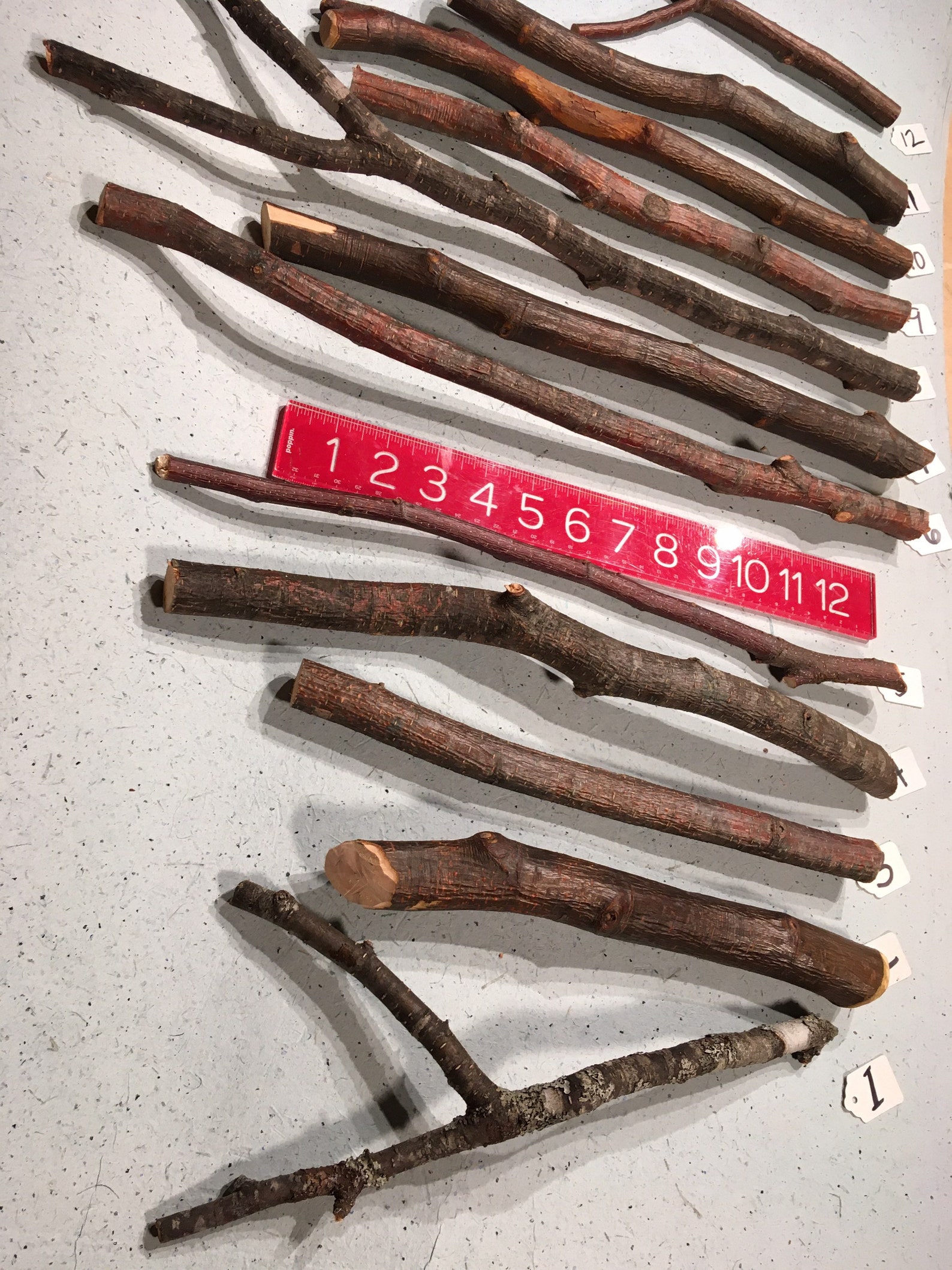 Alder Wood Sticks Alder Wand Carving Wood Etsy