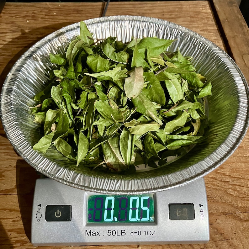 May include: A digital scale with a silver platform and a digital display showing 0.05 ounces. A pile of green leaves is on the platform.