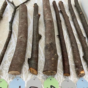 May include: An assortment of natural wooden sticks and branches in varying sizes and textures. Some sticks are thicker and cylindrical, while others are thinner and more branch-like. Numbered tags in blue, green, and gray are at the bottom.