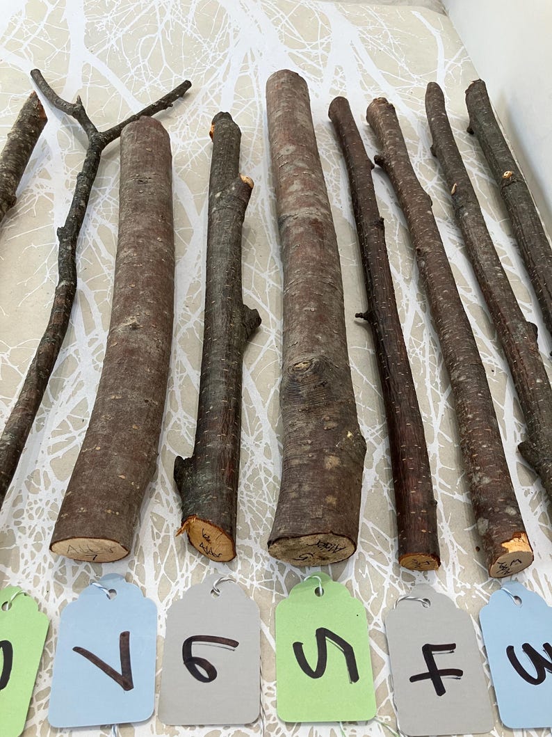 May include: An assortment of natural wooden sticks and branches in varying sizes and textures. Some sticks are thicker and cylindrical, while others are thinner and more branch-like. Numbered tags in blue, green, and gray are at the bottom.
