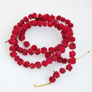 Dried and Strung Red Rowan or Mountain Ash Berries