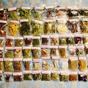 Spiritual Practice Apothecary Sample Set, Choose Your Own from 130 Herbs, Flowers and Wood Samples image 10