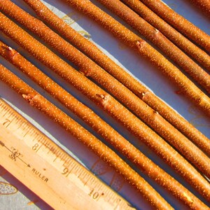 May include: Close-up of multiple thin, brown, wooden sticks laid out in parallel lines. A wooden ruler with inch markings is visible in the bottom left corner of the image. The ruler reads "Westcott Ruler" and has markings from 4 to 10 inches.