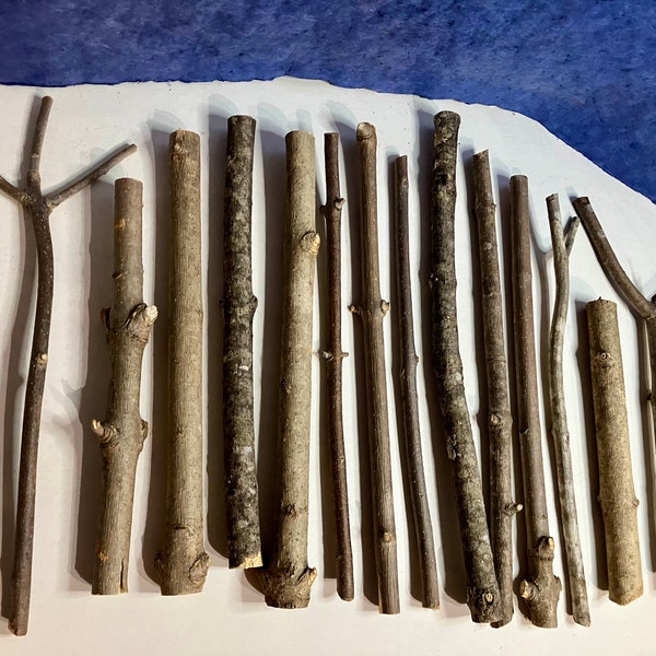 Ash Wood, White Ash Wand Carving Sticks, Fraxinus Americana