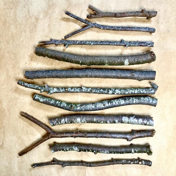 Hemlock Wood Wand Carving Sticks: Witch And Wizard Supplies