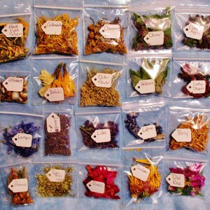 Spiritual Practice Apothecary Sample Set, Choose Your Own from 130 Herbs, Flowers and Wood Samples image 5