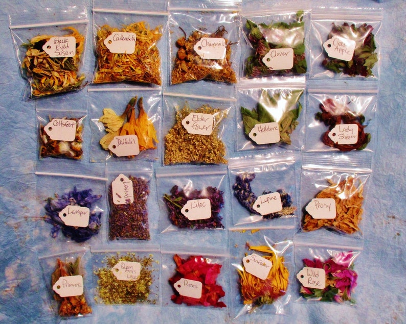 Spiritual Practice Apothecary Sample Set, Choose Your Own from 130 Herbs, Flowers and Wood Samples image 5