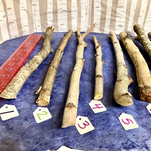 May include: Ten natural wood sticks of varying lengths and thicknesses, labeled with numbers 1 through 5. The sticks are arranged on a blue surface with a red ruler in the background.