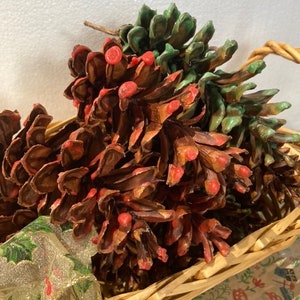 Pine Cone Fire Starters, 14 Wax Dipped Scented Pine Cones