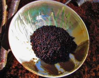 Dried Elderberries, Sambucus Nigra