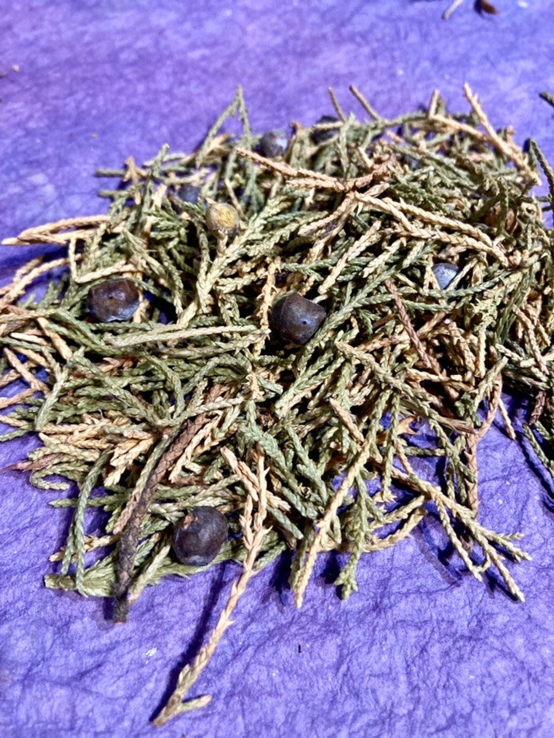 Dried Eastern Red Cedar Needles, Juniperus Virginiana Etsy
