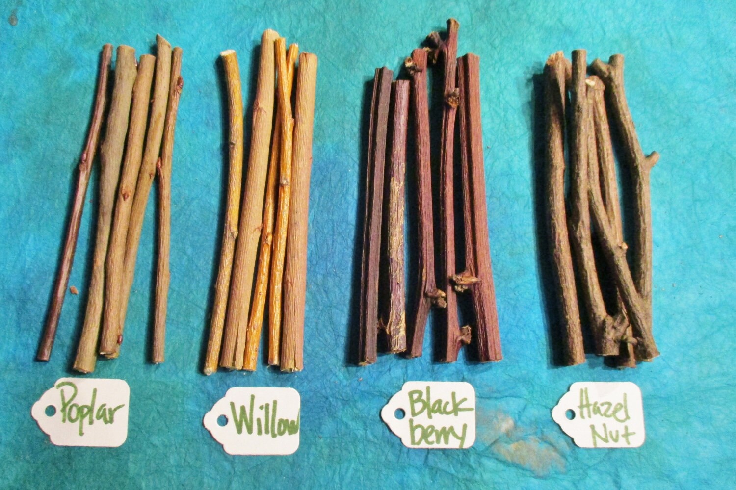 Pet Chew Wood Sticks 20 Baked Wildcrafted Wood Rodent Chews Etsy