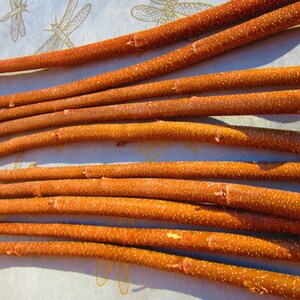 May include: A collection of 12 smooth, brown wooden sticks, arranged in rows on a white surface. The sticks are approximately 12 inches long and have a natural, rustic appearance.