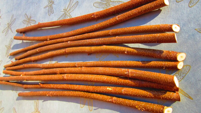May include: A collection of 12 smooth, brown wooden sticks, arranged in rows on a white surface. The sticks are approximately 12 inches long and have a natural, rustic appearance.