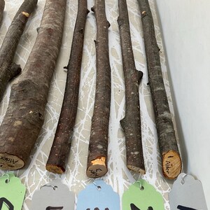 May include: A collection of natural alder wood sticks, varying in thickness and length, with rough bark and visible knots. Some sticks have cut ends with the word "Alder" written on them. Numbered tags are visible below the sticks.