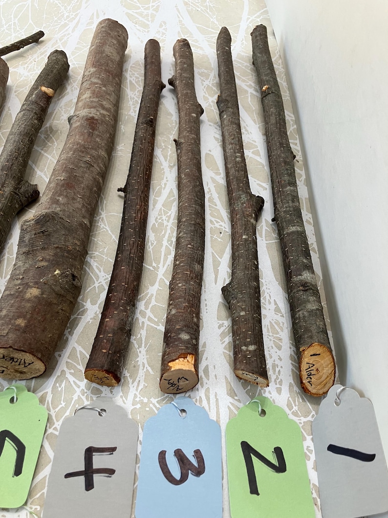 May include: A collection of natural alder wood sticks, varying in thickness and length, with rough bark and visible knots. Some sticks have cut ends with the word "Alder" written on them. Numbered tags are visible below the sticks.