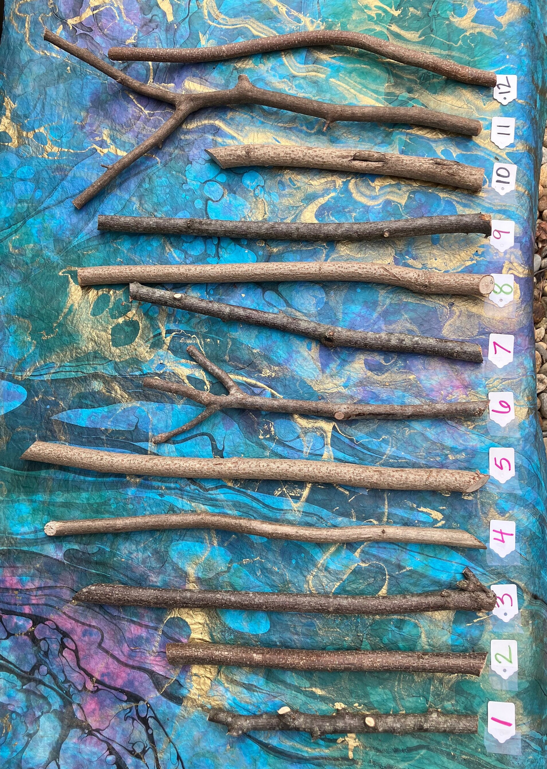 Thick Wood Sticks 12 In, Wooden Branches 6 Ct, Maple Wooden Sticks,  Bradford Sticks, Craft Branches, Rustic Sticks, Wood Sticks for Wands 