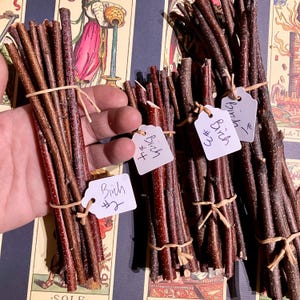 May include: Three bundles of birch sticks tied together with twine. Each bundle is labelled with a white tag that says "Birch #1", "Birch #2", and "Birch #3".