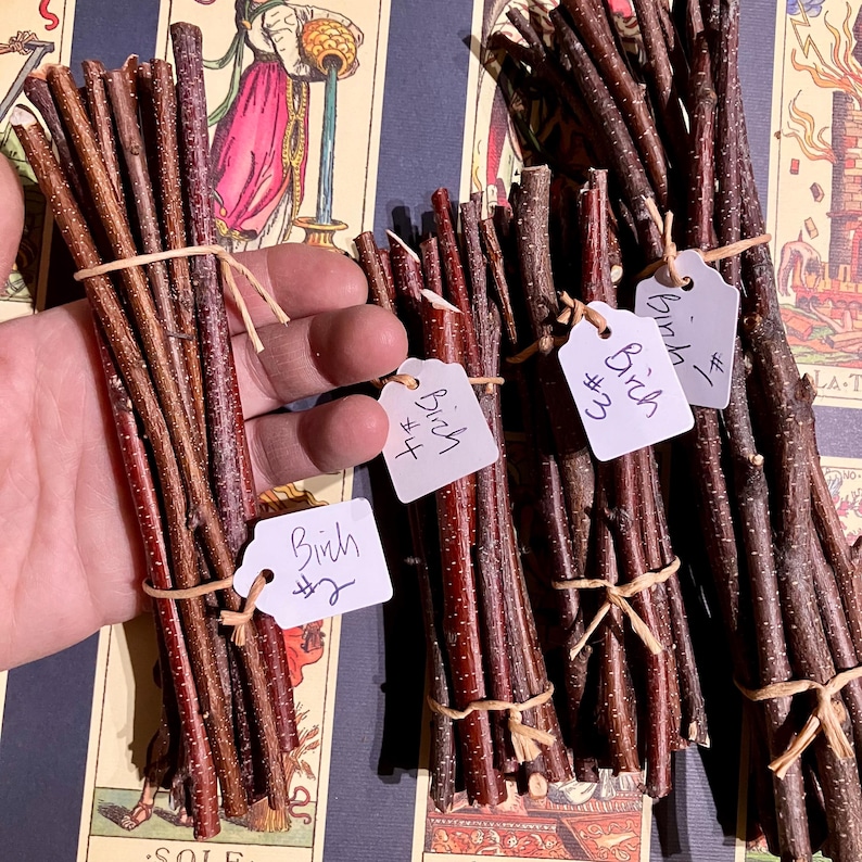 May include: Three bundles of birch sticks tied together with twine. Each bundle is labelled with a white tag that says "Birch #1", "Birch #2", and "Birch #3".