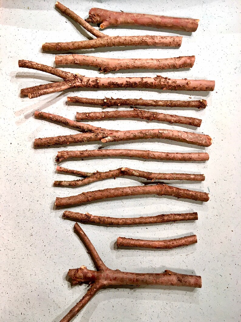 Yew Wand Wood Yew Sticks For Carving Etsy