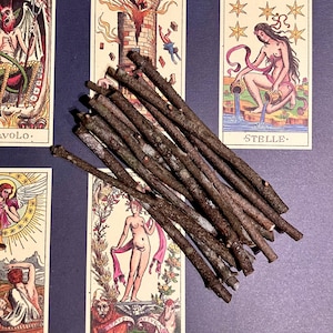 May include: A bundle of approximately 15 brown wooden sticks, likely for use in a divination or ritual practice. The sticks are arranged in a fan shape on a purple surface with tarot cards visible in the background.