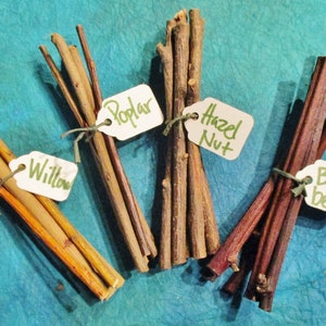 Pet Chew Sticks, 24 Baked Wildcrafted Wood Rodent Chews