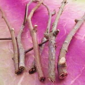 May include: Close-up of six wooden sticks with the letter "H" carved into the ends. The sticks are arranged on a pink surface.