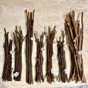 Long Craft Stick Bundles; Pine, Alder, Cedar, Poplar, Witch Hazel, Grapevine and River Sticks