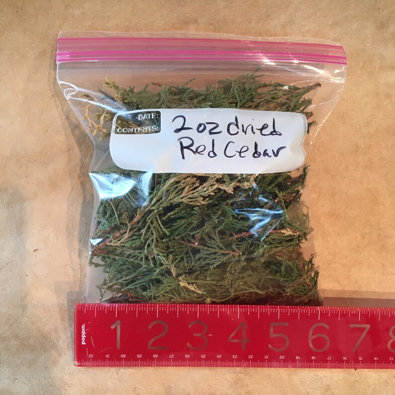 Fresh Cut Red Cedar Branches Juniperus Virginiana Etsy