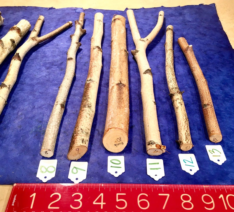 Birch Wood Sticks Birch Wand Carving Wood Etsy