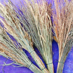 Dried Assorted Grasses, Dried Grass Seed Head Bouquets