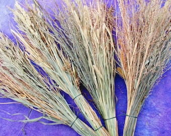 May include: A bundle of dried grasses in shades of brown, beige, and green, tied together with twine. The grasses are arranged in a fan shape against a purple background.