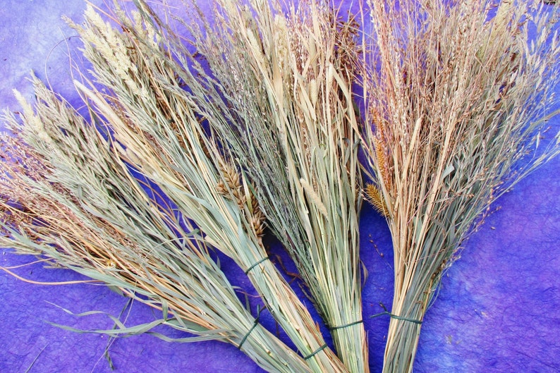 Dried Assorted Grasses Dried Grass Seed Head Bouquets Etsy