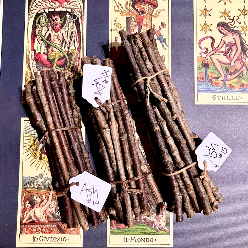 May include: Three bundles of ash wood sticks tied together with twine. Each bundle has a white tag with the text "Ash #14" or "Ash #15". The bundles are arranged on a purple surface with tarot cards in the background.