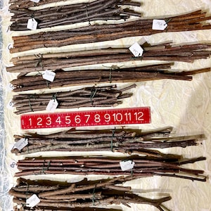 Long Stick Bundles; Blackberry, Birch, Balsam, Rowan, Pear, Oak, Juniper, Hornbeam, Chestnut