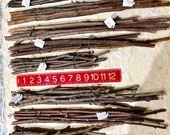 Long Stick Bundles; Blackberry, Birch, Balsam, Rowan, Pear, Oak, Juniper, Hornbeam, Chestnut