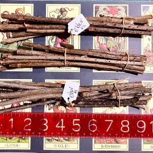 May include: Two bundles of brown elderberry sticks tied with twine. The sticks are arranged in a stack and are approximately 30 cm long. The bundles are labelled "elder #11" and "elder #11". A red ruler with black numbers is in the foreground.