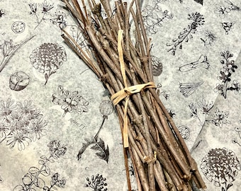 Elder Wood Twigs, Dried Elderberry Sticks, Sambucus Canadensis