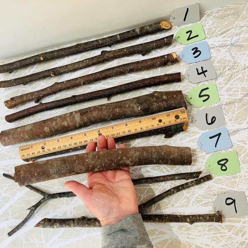 May include: Nine natural wooden sticks of varying lengths and thicknesses, arranged on a patterned surface. A wooden ruler is placed next to one stick. Each stick has a tag with a number from 1 to 9. The sticks range from approximately 4 inches to 12 inches in length.