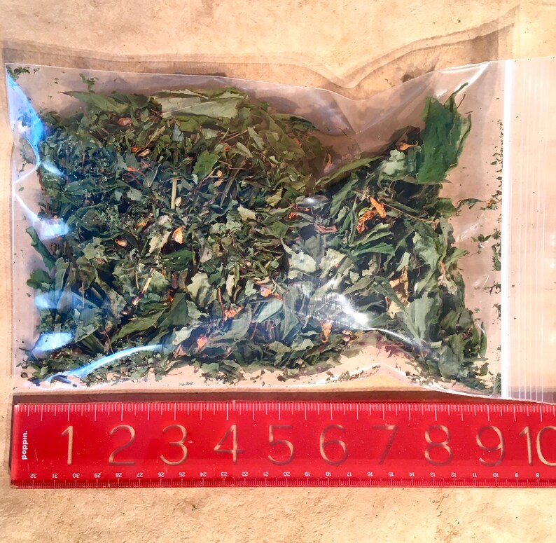 Dried Jewelweed Etsy