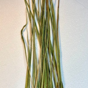 Dried Yucca Leaves, Whole Narrow Leaf Yucca
