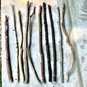 Hardwood Sticks for Broom Handles, Wall Hangings, Wand Carving and Wood Crafts
