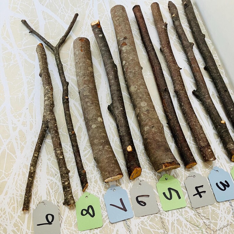 May include: A collection of various sized and shaped wooden sticks, some with bark, arranged on a white surface. Each stick has a tag with a number from 3 to 9. The sticks vary in color from light brown to dark brown.