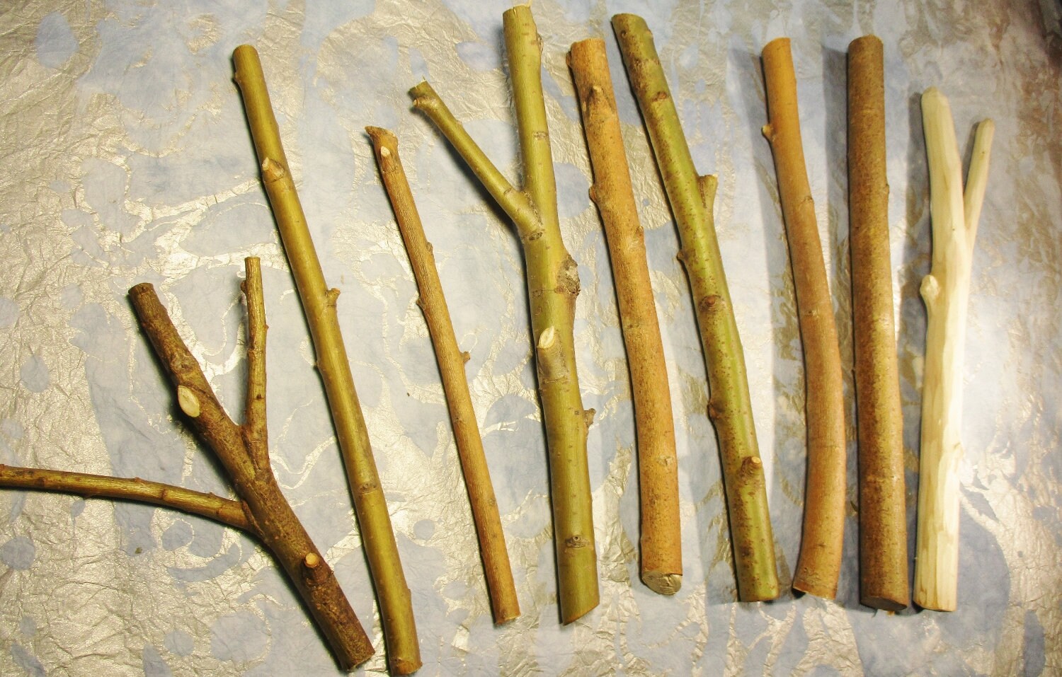 Willow Wand Wood Sticks Willow Carving Wood Salix Alba Tree Etsy