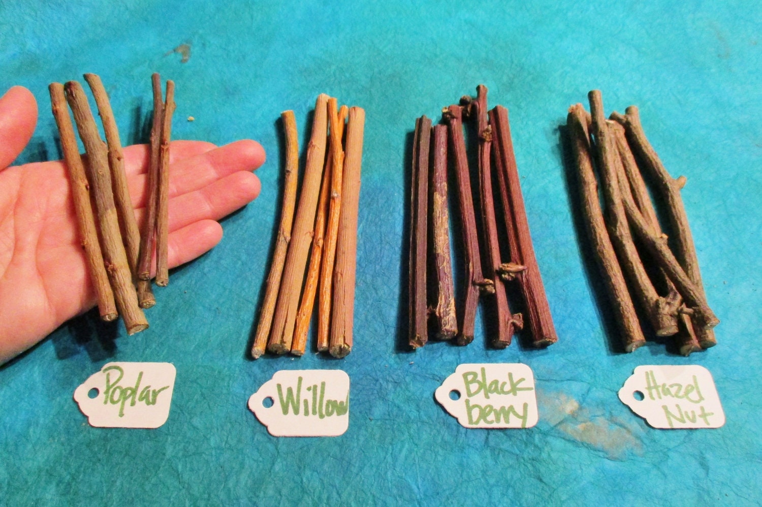 Pet Chew Wood Sticks 20 Baked Wildcrafted Wood Rodent Chews Etsy