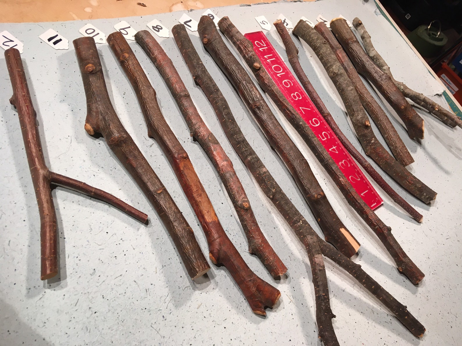 Alder Wood Sticks Alder Wand Carving Wood Etsy