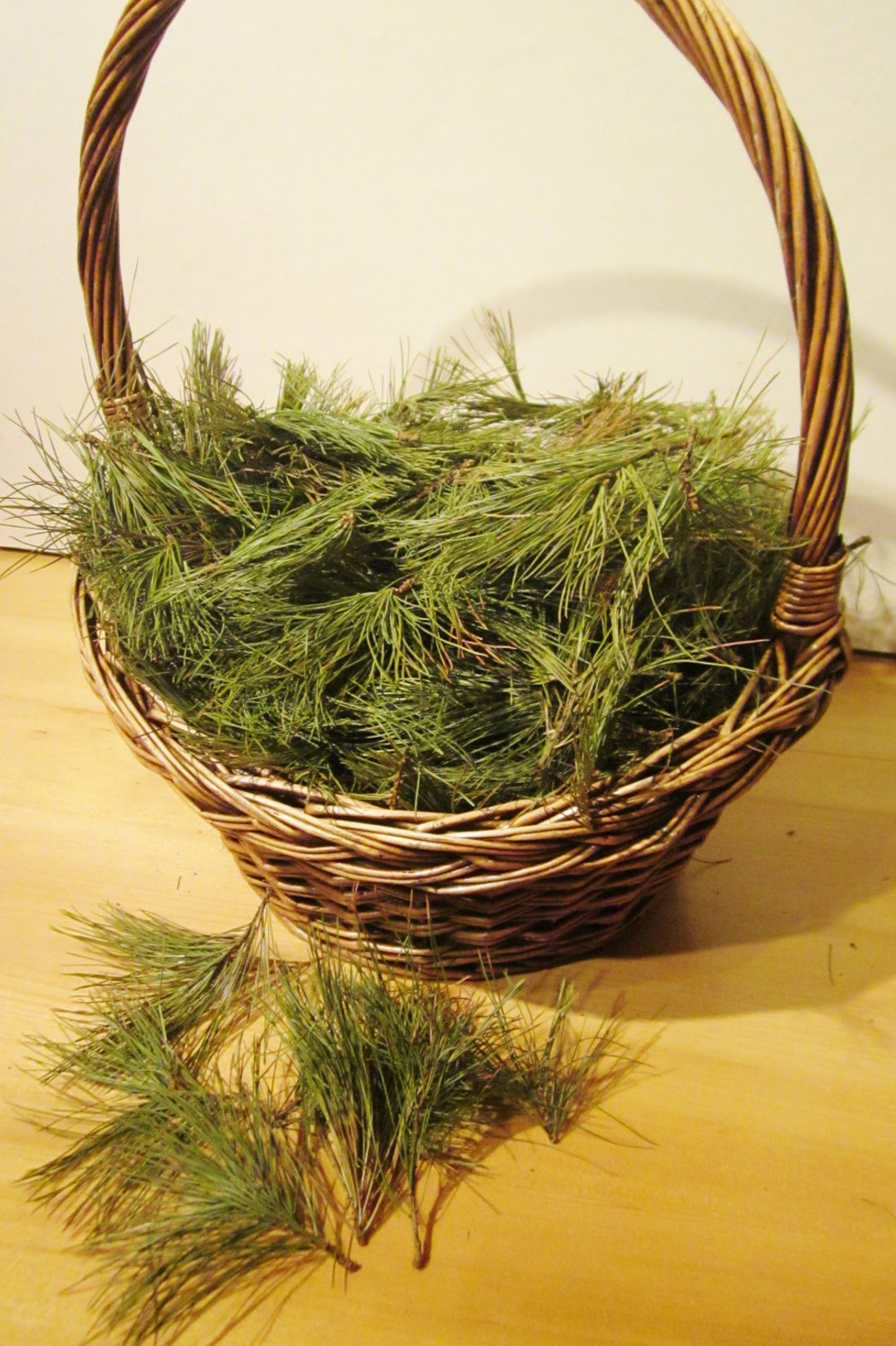 Pine Needles, Fresh Cut or Dried Wildcrafted NH White Pine Needles Etsy