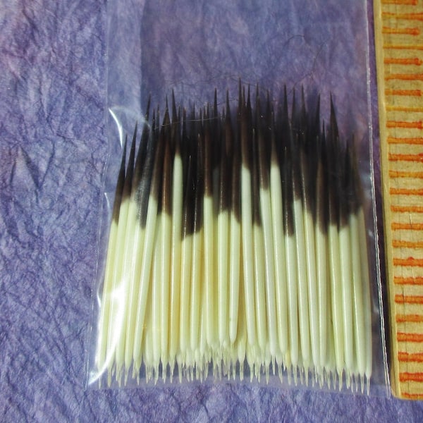 American Porcupine Quills, 100 Medium Quills, Quillwork, Quill Beads