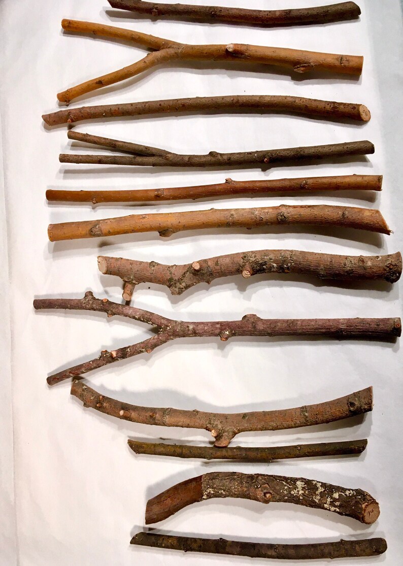 Willow Wood Sticks Willow Wand Carving Wood Salix Alba Tree Etsy