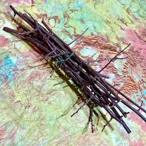 Blackthorn Twigs, Blackthorn Wood Stick Bundles